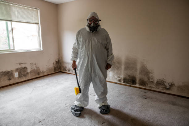 Best Residential Mold Inspection & Testing  in USA